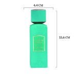 Arabian Perfume - RiiFFS Costa de Amalfi – Unisex Eau De Parfum 100 ml (Citrus Aromatic Blend)